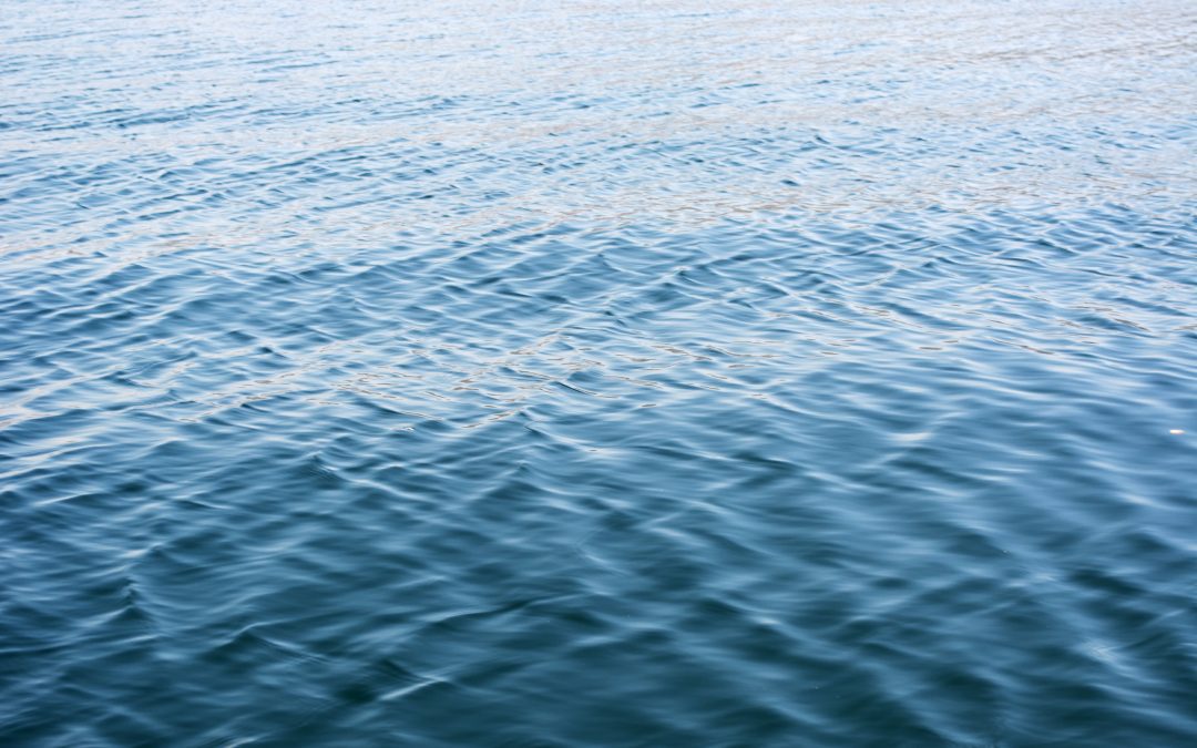 Discover the Wonders of Sailing along the Ebro Coast